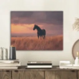 Paard - Wolken - Open veld PET vilt klein -sfeer1
