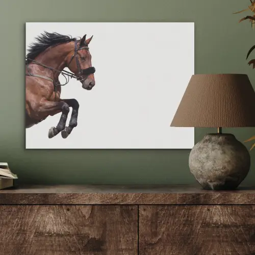 Paard - Springen - Modern PET vilt klein -sfeer2