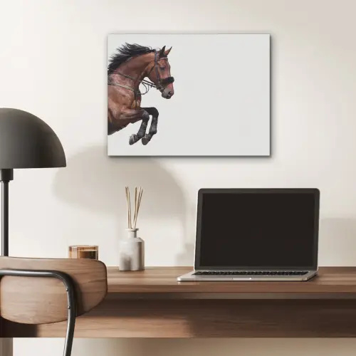Paard - Springen - Modern PET vilt klein -sfeer5