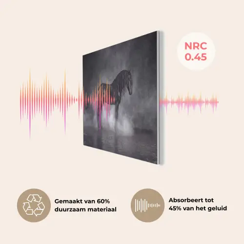 Paard - Magisch - Zwart PET vilt klein -USP_NL