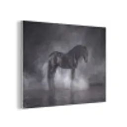 Paard - Magisch - Zwart PET vilt klein -3d
