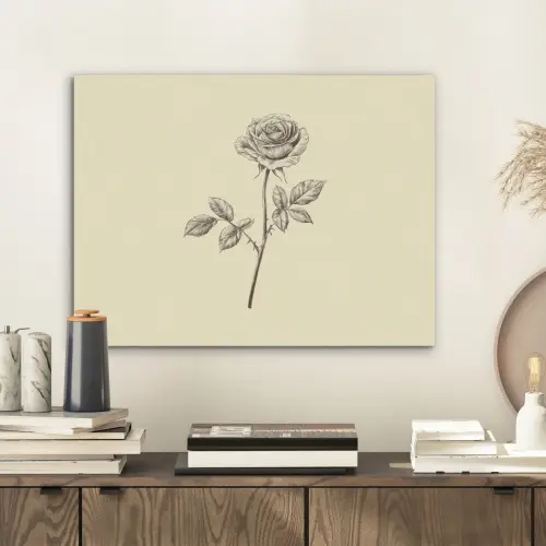 Illustratie - Zwart - Roos PET vilt klein -sfeer1