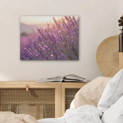 Lavendel - Paars - Zonlicht PET vilt klein -sfeer3