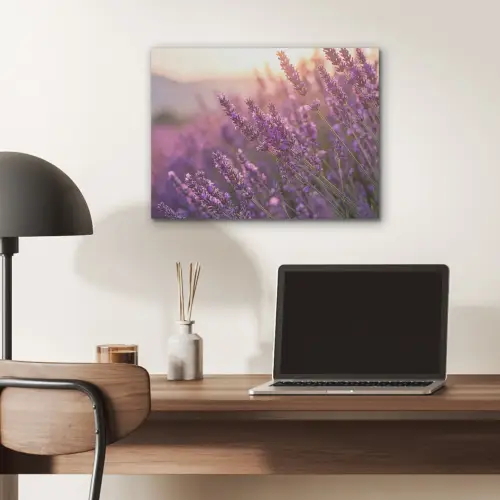 Lavendel - Paars - Zonlicht PET vilt klein -sfeer5
