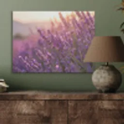 Lavendel - Paars - Zonlicht PET vilt klein -sfeer2