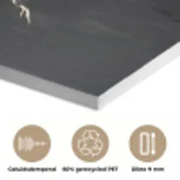 Leeuw - Gesplitst - Zwart - Lijn PET vilt klein -closeup_NL
