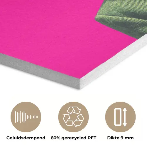 Man - Pak - Wolk - Roze PET vilt klein -closeup_NL