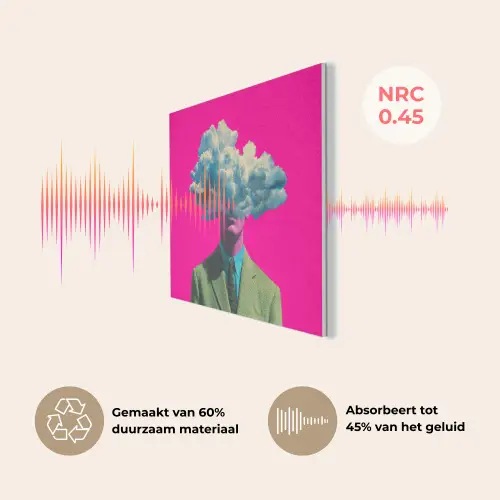 Man - Pak - Wolk - Roze PET vilt klein -USP_NL