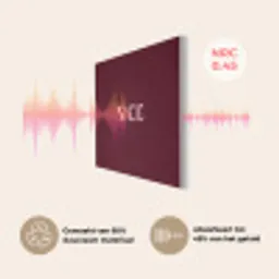 Nice - Bordeaux - Roze PET vilt klein -USP_NL