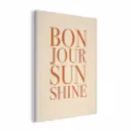 Oranje - Quote - Sun PET vilt klein -3d
