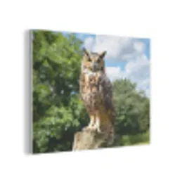 Uil - Boomstronk - Bos - Lucht PET vilt klein -3d