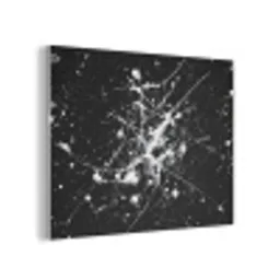 Verfspatten - Wit - Abstract - Explosie PET vilt klein -3d