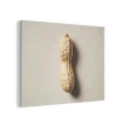 Pinda - Ruw - Beige PET vilt klein -3d