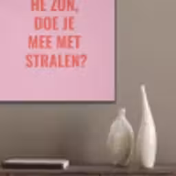 Roze - Zon - Quote PET vilt klein -sfeer6_closeup