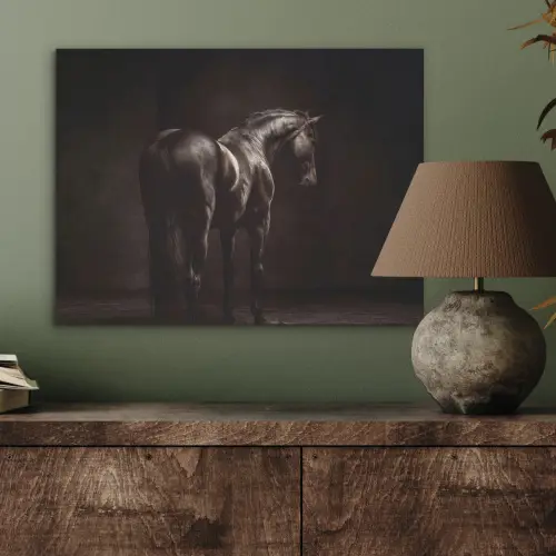 Krachtig - Paard - Donker PET vilt klein -sfeer2