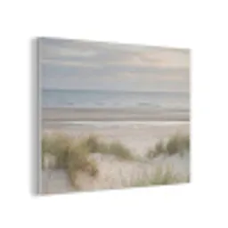 Zandstrand - Bewolkt - Duinen PET vilt klein -3d