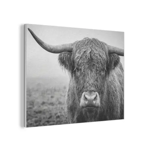 Schotse hooglander - Zwart - Wit - Gras PET vilt klein -3d