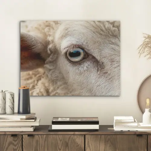 Schaap - Oog - Wit PET vilt klein -sfeer1