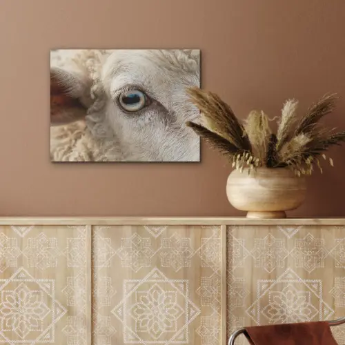Schaap - Oog - Wit PET vilt klein -sfeer4