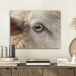 Schaap - Oog - Wit PET vilt klein -sfeer1