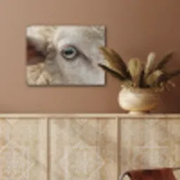 Schaap - Oog - Wit PET vilt klein -sfeer4