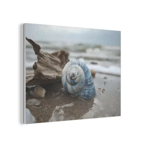 Schelp - Strand - Blauw - Zee PET vilt klein -3d