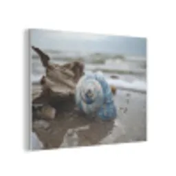 Schelp - Strand - Blauw - Zee PET vilt klein -3d
