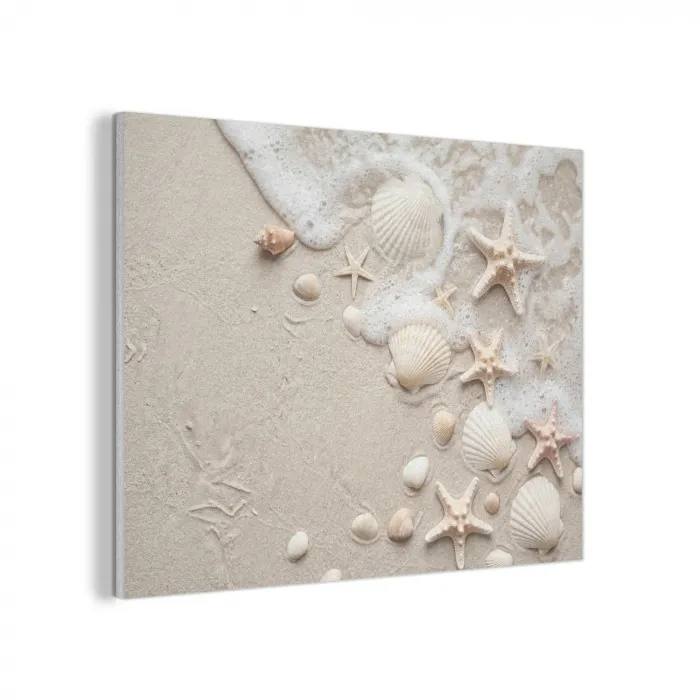 Schelpen - Zeesterren - Strand PET vilt klein -3d