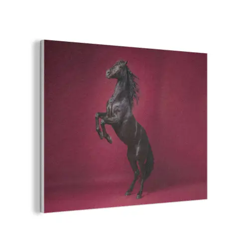 Hengst - Steigert - Rood PET vilt klein -3d