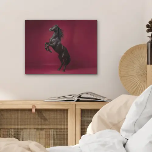 Hengst - Steigert - Rood PET vilt klein -sfeer3