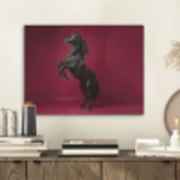 Hengst - Steigert - Rood PET vilt klein -sfeer1