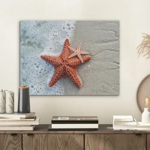 Zeester - Strand - Zee PET vilt klein -sfeer1