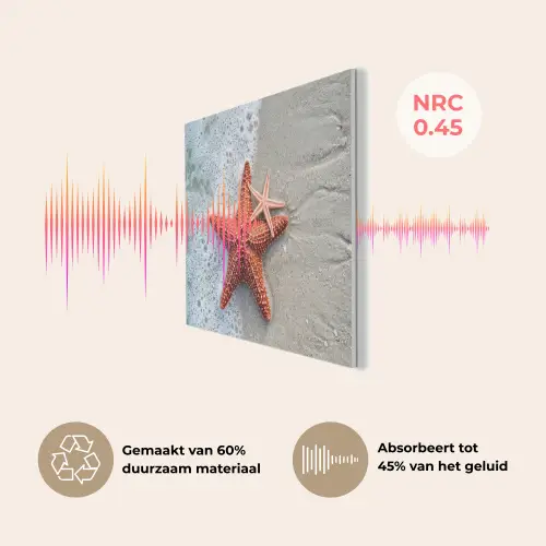 Zeester - Strand - Zee PET vilt klein -USP_NL