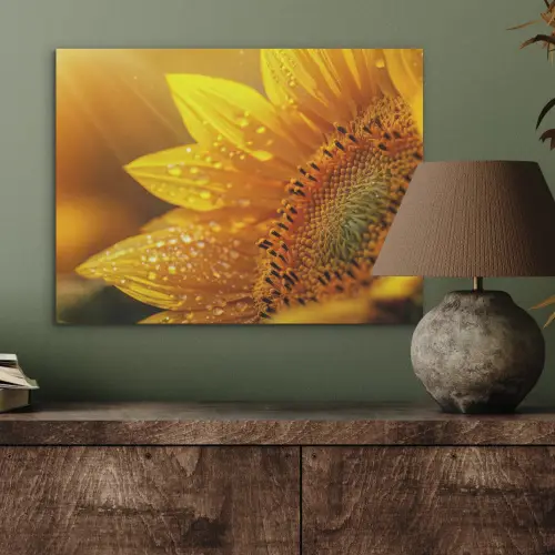 Zonnebloem - Dauwdruppels - Geel - Zonlicht PET vilt klein -sfeer2