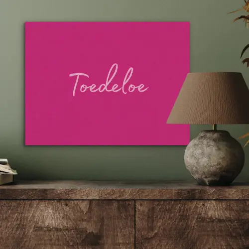 Toedeloe - Roze PET vilt klein -sfeer2