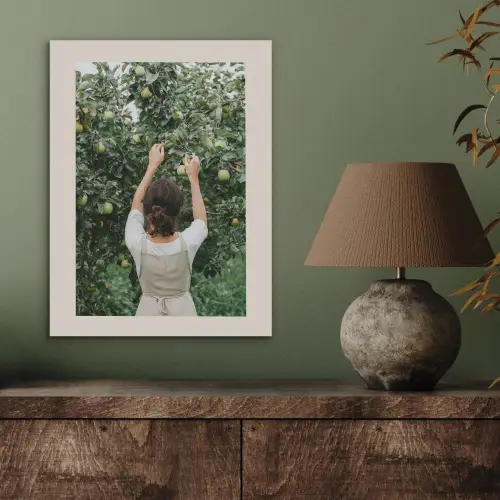 Boom - Appels - Plukken - Natuur PET vilt klein -sfeer2