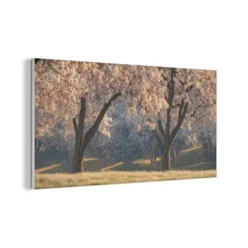 Bomen - Bloesem - Lente PET vilt middel -3d