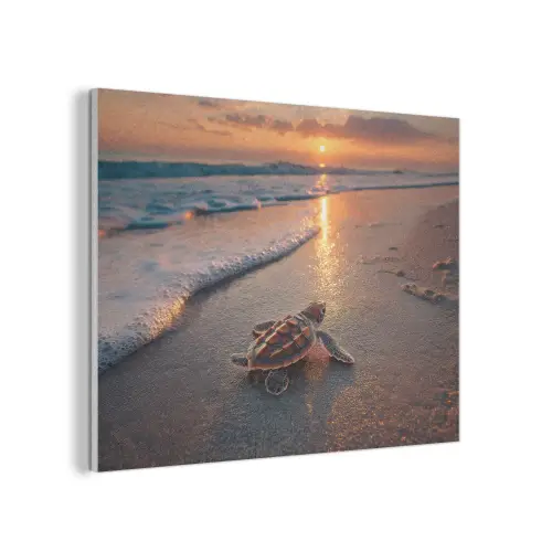 Schildpad - strand - Zonsondergang PET vilt klein -3d