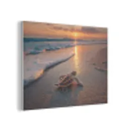 Schildpad - strand - Zonsondergang PET vilt klein -3d