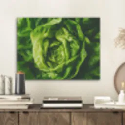Groente - Sla - Groen PET vilt klein -sfeer1