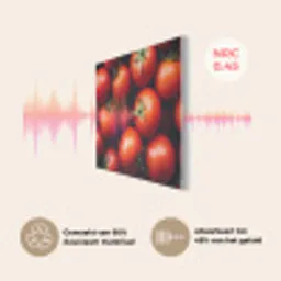 Groente - Rood - Tomaten PET vilt klein -USP_NL