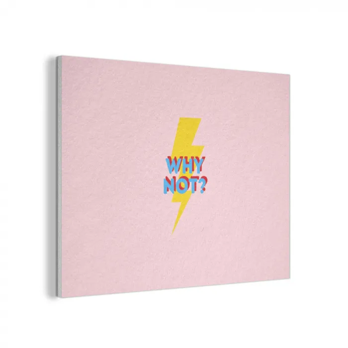 Why not - Bliksem - Roze PET vilt klein -3d