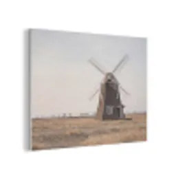 Windmolens - Landschap - Veld PET vilt klein -3d