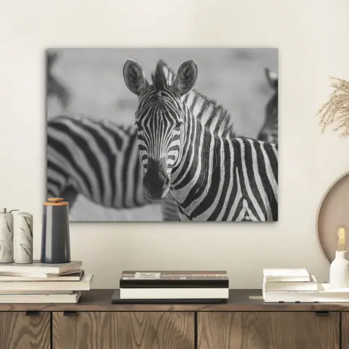 Zebra's - Zwart - Wit PET vilt klein -sfeer1