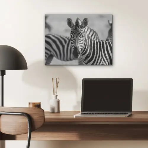 Zebra's - Zwart - Wit PET vilt klein -sfeer5