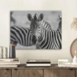 Zebra's - Zwart - Wit PET vilt klein -sfeer1