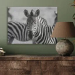 Zebra's - Zwart - Wit PET vilt klein -sfeer2