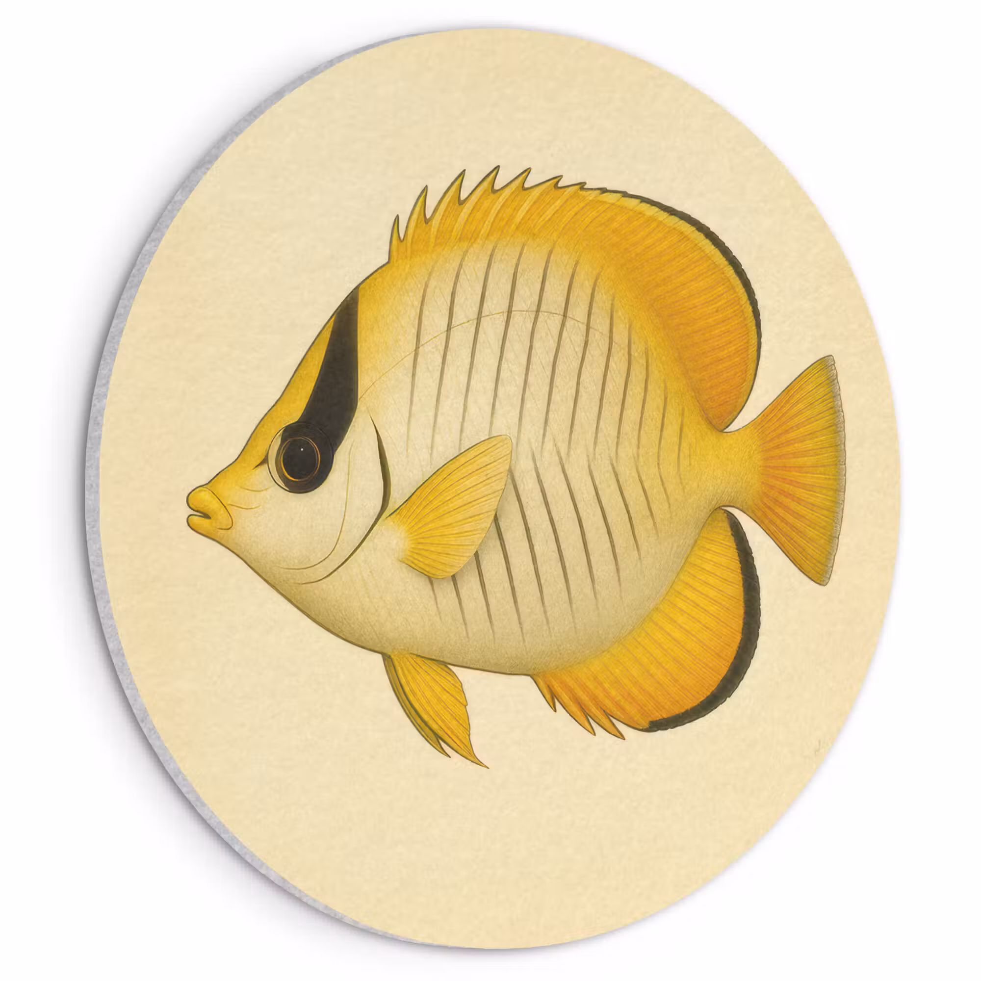 Acoustic painting round - Oval - Fish - Yellow - Scales