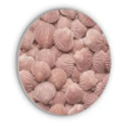 Schelpen - Patroon - Roze Akoestische PET Vilt - Rond klein -3d