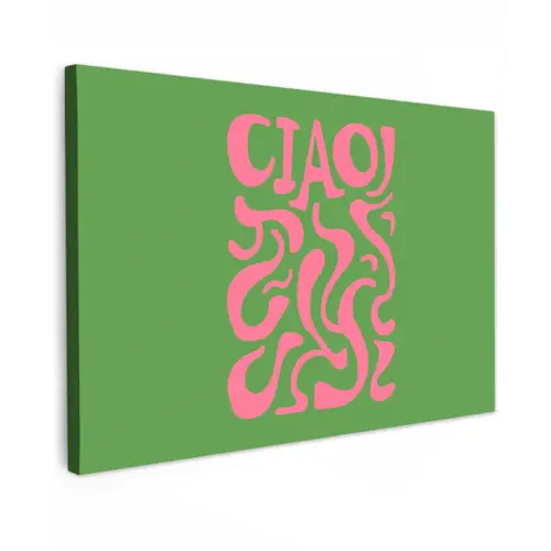 Abstract - Roze - Ciao - Vormen canvas 2cm klein -z3d